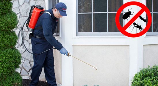 Derinkuyu Bit İlaçlama böcek ilaçlama ve haşere kontrolü — ilaclama-tr.com